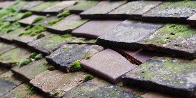 Llangovan roof repair costs